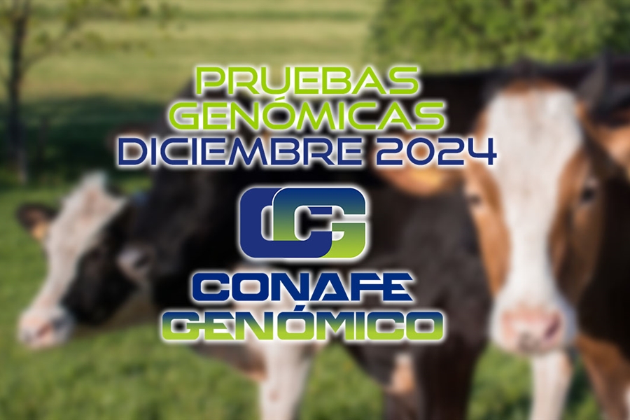 Actualizacin de las pruebas genmicas de Hembras CONAFE Diciembre 2024