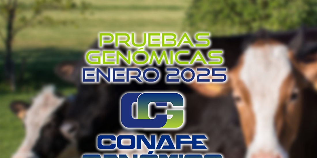 Actualizacin de las pruebas genmicas de Hembras CONAFE Enero 2025