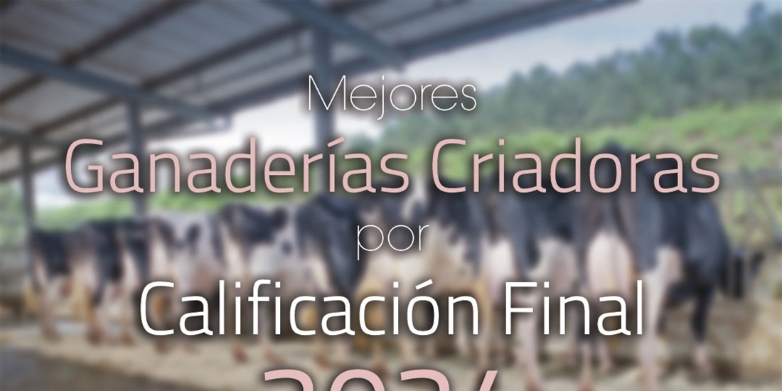 Mejores ganaderas criadoras por Calificacin Final de 2024