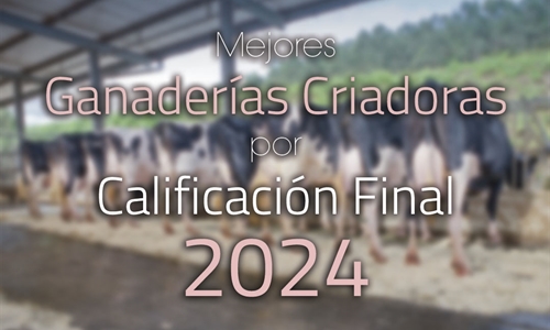 Mejores ganader�as criadoras por Calificaci�n Final de 2024