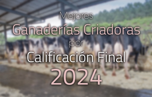 Mejores ganader�as criadoras por Calificaci�n Final de 2024