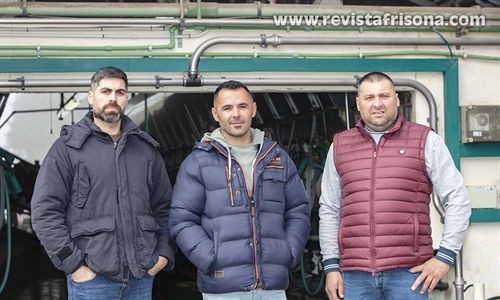 La cooperativa Grille se proyecta al futuro de la mano de la innovacin...
