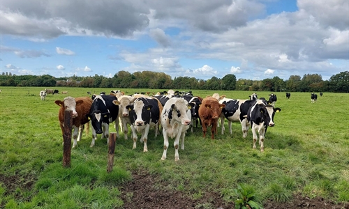 La econom�a agraria espa�ola se dispara un 8,5 % en 2024 y es la que...