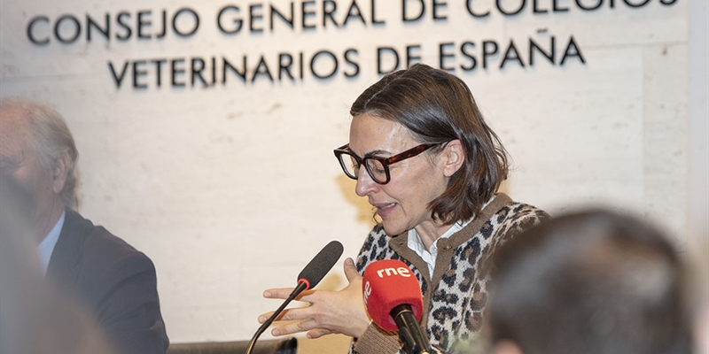 Espaa es una "potencia ganadera" por la capacidad de adaptacin del sector, segn el MAPA