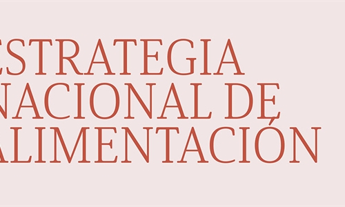 La columna vertebral de la Estrategia Nacional de Alimentacin: 1 DAFO,...