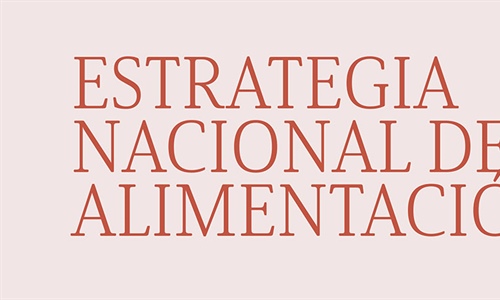 La columna vertebral de la Estrategia Nacional de Alimentacin: 1 DAFO,...
