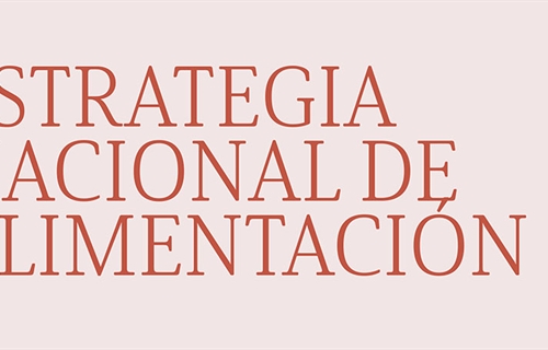 La columna vertebral de la Estrategia Nacional de Alimentacin: 1 DAFO,...