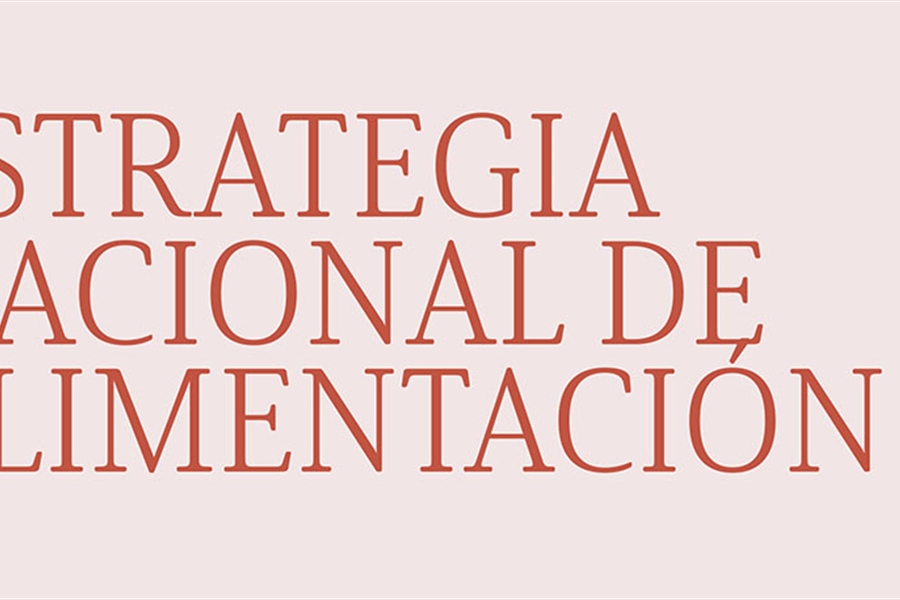 La columna vertebral de la Estrategia Nacional de Alimentacin: 1 DAFO,...
