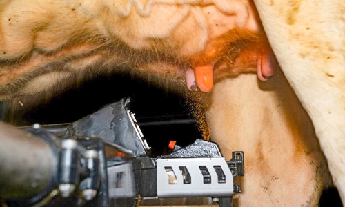 DeLaval lanza Titan, un desinfectante de pezones para sistemas...