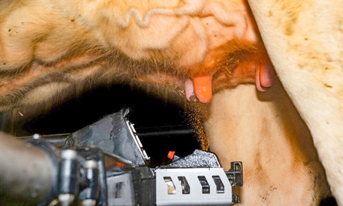 DeLaval lanza Titan, un desinfectante de pezones para sistemas...