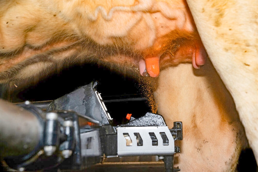 DeLaval lanza Titan, un desinfectante de pezones para sistemas...