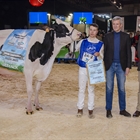 Las ganaderas A Lagoa Serabel y Casa Pozo ganan los grandes premios del Open Gandagro 2025 y Concurso FEFRIGA 2025 respectivamente
