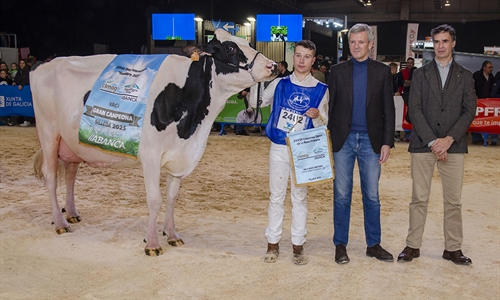 Las ganaderas A Lagoa Serabel y Casa Pozo ganan los grandes premios...