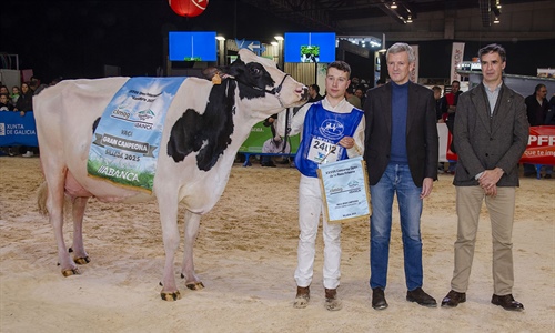 Las ganaderas A Lagoa Serabel y Casa Pozo ganan los grandes premios...
