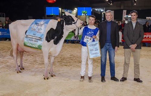 Las ganaderas A Lagoa Serabel y Casa Pozo ganan los grandes premios...