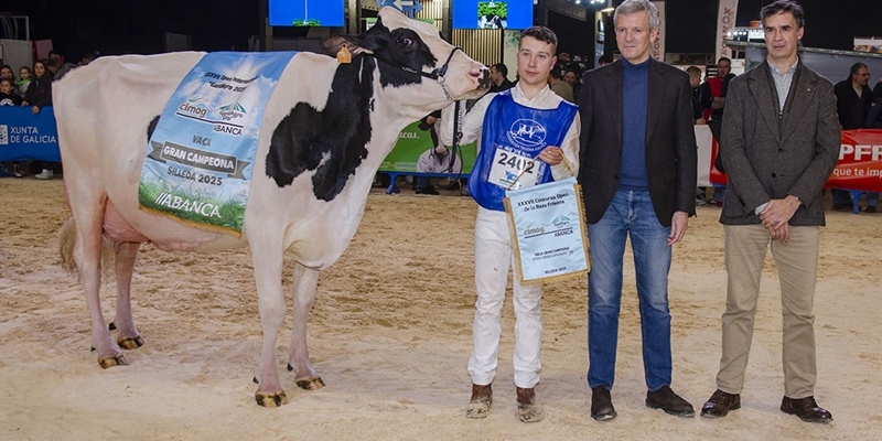 Las ganaderas A Lagoa Serabel y Casa Pozo ganan los grandes premios del Open Gandagro 2025 y Concurso FEFRIGA 2025 respectivamente