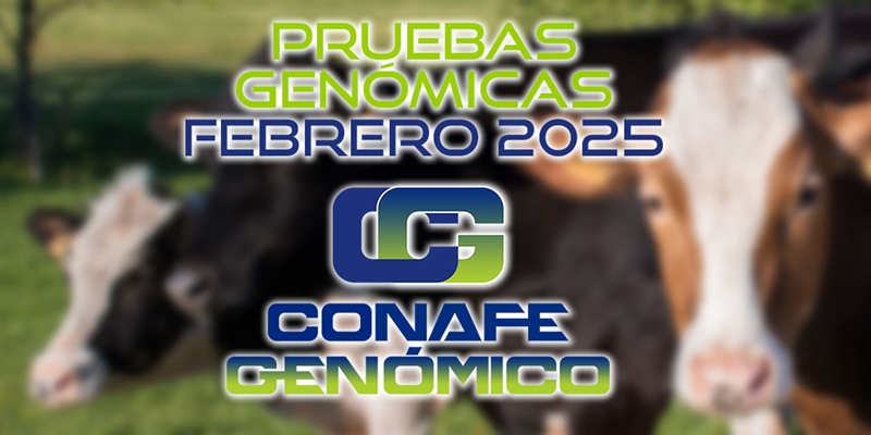 Actualizacin de las pruebas genmicas de Hembras CONAFE Febrero 2025