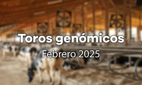 Nuevos toros genmicos con Prueba Oficial: Evaluacin genmica Febrero 2025