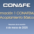 Programa de formacin CONAFEMAT sobre Acoplamiento Bsico para ganado bovino