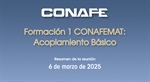 Programa de formacin CONAFEMAT sobre Acoplamiento Bsico para ganado bovino