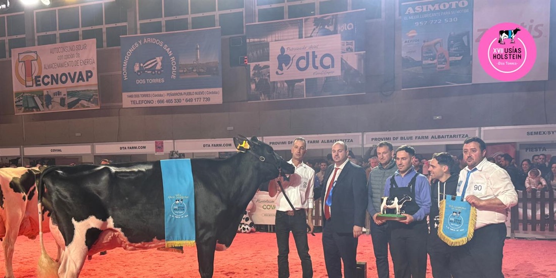 Miajones MN Stoneden Ferne 822 (Los Miajones), Vaca Gran Campeona del...