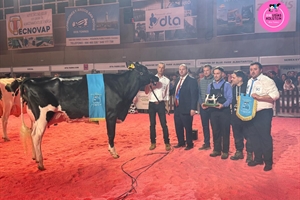 Miajones MN Stoneden Ferne 822 (Los Miajones), Vaca Gran Campeona del Usas Holstein 2025