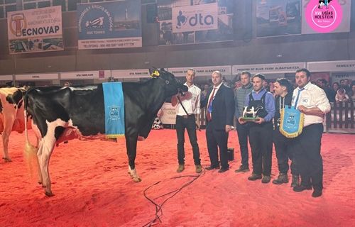 Miajones MN Stoneden Ferne 822 (Los Miajones), Vaca Gran Campeona del...