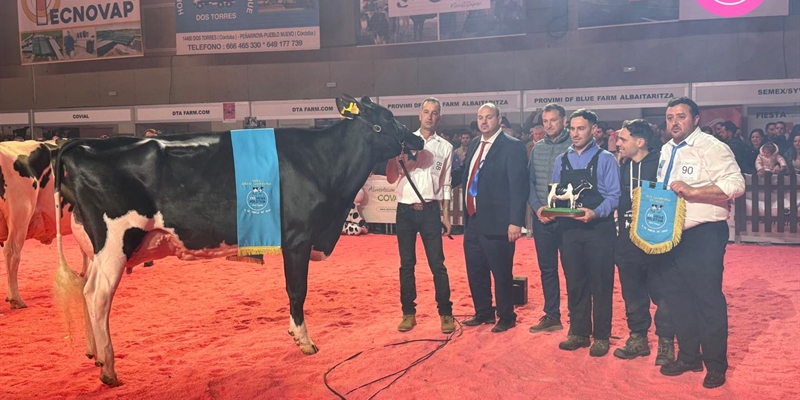 Miajones MN Stoneden Ferne 822 (Los Miajones), Vaca Gran Campeona del Usas Holstein 2025
