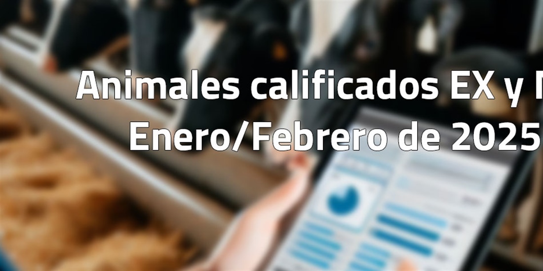 Animales calificados EX y MB en enero y febrero de 2025