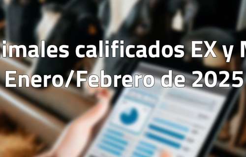 Animales calificados EX y MB en enero y febrero de 2025