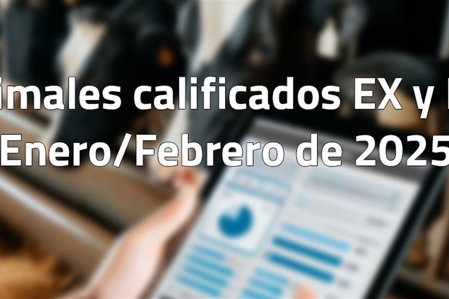 Animales calificados EX y MB en enero y febrero de 2025