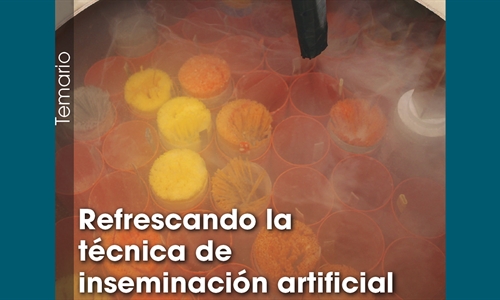 Refrescando la tcnica de inseminacin artificial