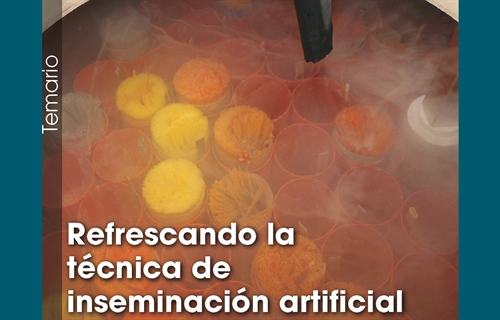 Refrescando la tcnica de inseminacin artificial