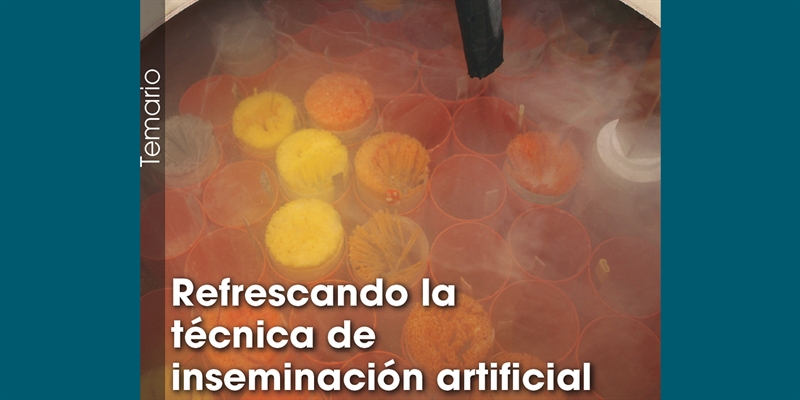 Refrescando la tcnica de inseminacin artificial