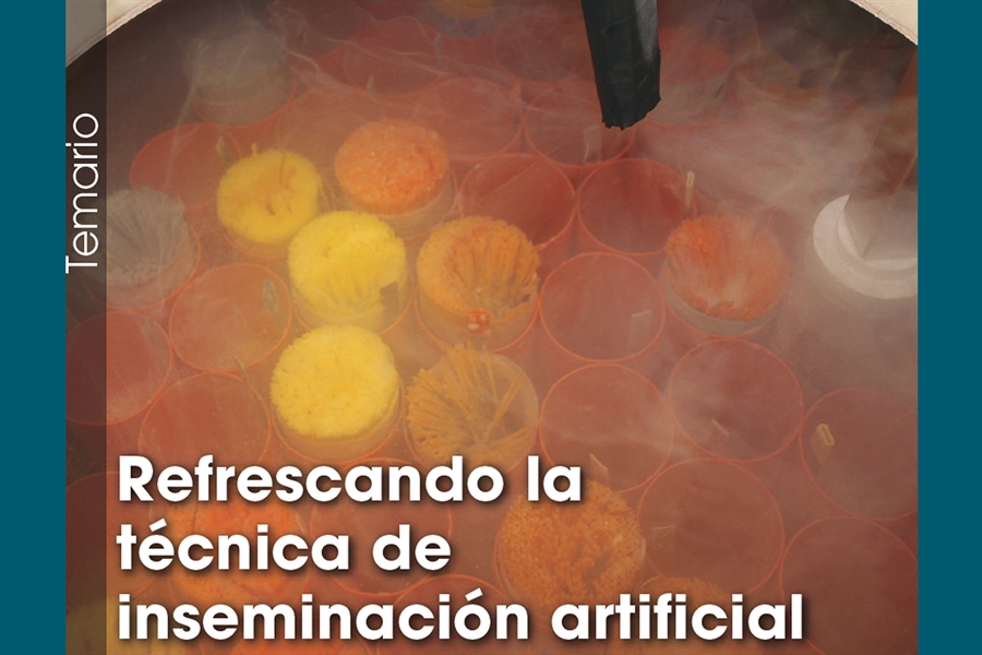 Refrescando la tcnica de inseminacin artificial