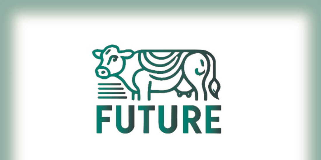 Jornada de Networking en el marco del proyecto GO FUTURE