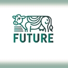 Jornada de Networking en el marco del proyecto GO FUTURE