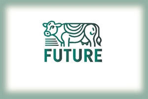 Jornada de Networking en el marco del proyecto GO FUTURE