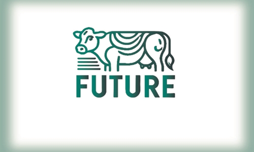 Jornada de Networking en el marco del proyecto GO FUTURE