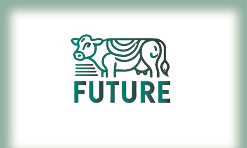 Jornada de Networking en el marco del proyecto GO FUTURE
