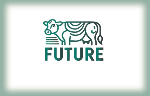 Jornada de Networking en el marco del proyecto GO FUTURE