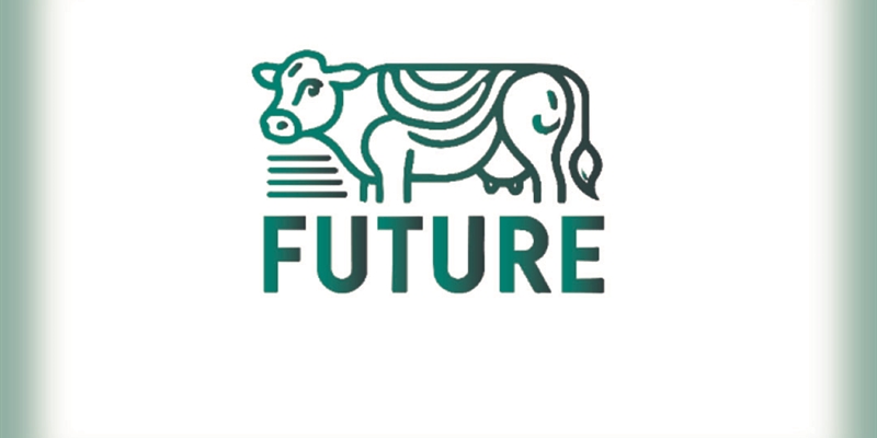Jornada de Networking en el marco del proyecto GO FUTURE