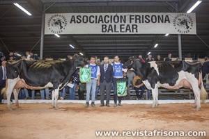 Torrellafuda Unix Gala y Sonfosquet Snowgalaxy Minesota, Vaca Gran Campeona y Reserva del concurso Menorca 2025
