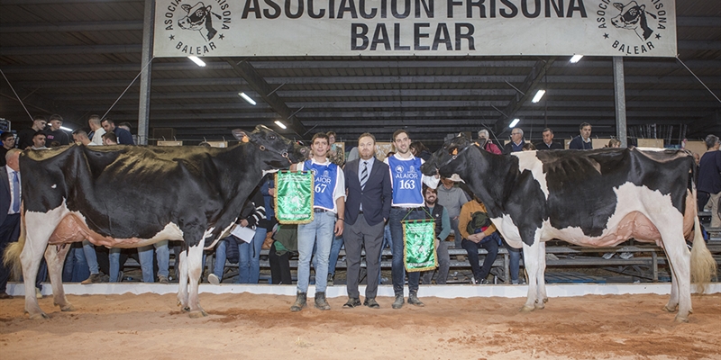 Torrellafuda Unix Gala y Sonfosquet Snowgalaxy Minesota, Vaca Gran Campeona y Reserva del concurso Menorca 2025