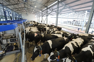 DeLaval VMS Batch Milking, una solucin de ordeo por lotes con robots para grandes rebaos