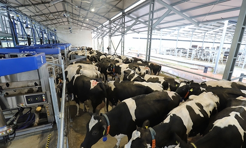 DeLaval VMS Batch Milking, una solucin de ordeo por lotes con robots...