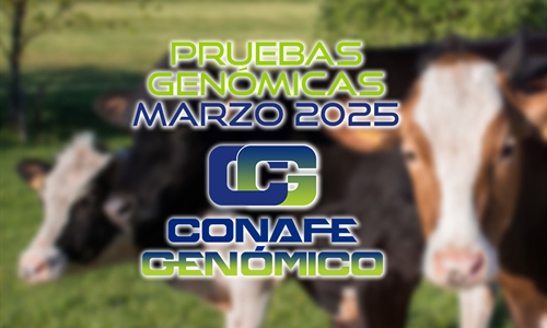 Actualizacin de las pruebas genmicas de Hembras CONAFE Marzo 2025