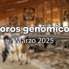 Nuevos toros genmicos con Prueba Oficial: Evaluacin genmica Marzo 2025