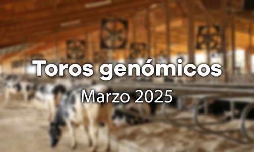 Nuevos toros genmicos con Prueba Oficial: Evaluacin genmica Marzo 2025