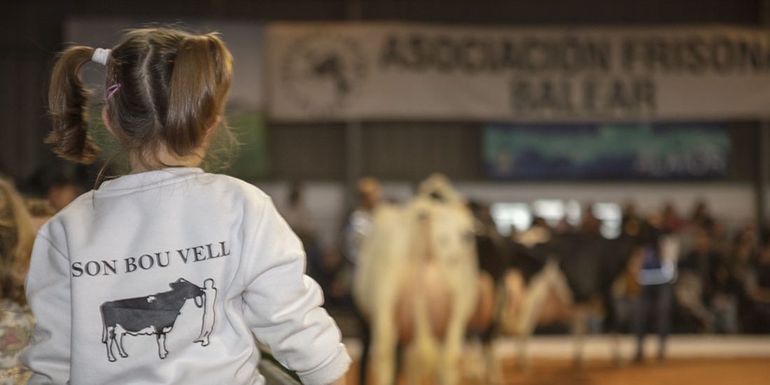 Otra mirada al XXXVII Concurso Morfolgico de Ganado Vacuno Frisn de...